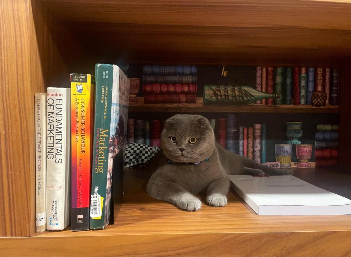 Hotel Cotto Do Gatto ポンテ・ダ・バルカ エクステリア 写真