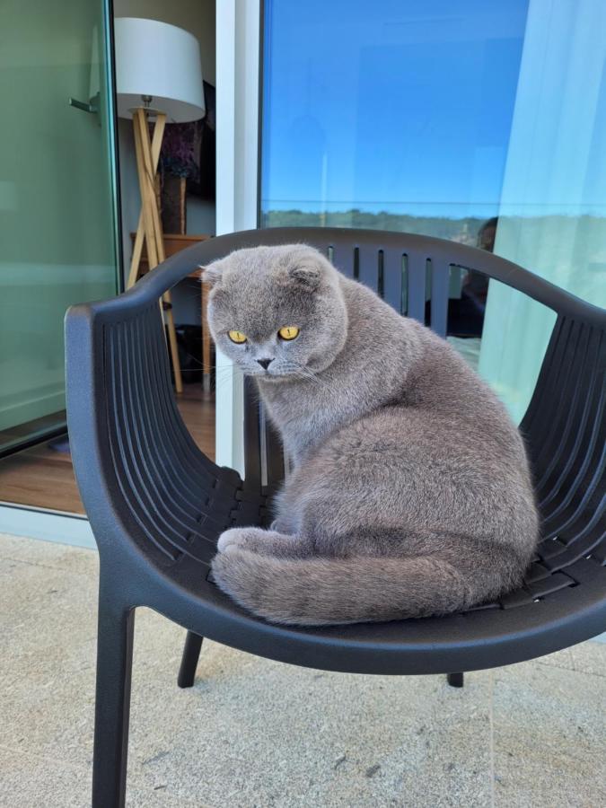 Hotel Cotto Do Gatto ポンテ・ダ・バルカ エクステリア 写真