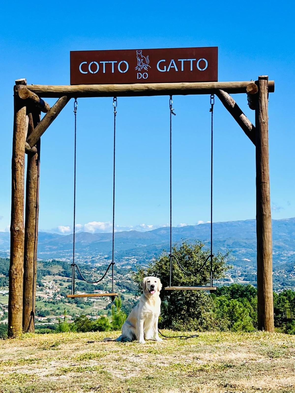 Hotel Cotto Do Gatto ポンテ・ダ・バルカ エクステリア 写真